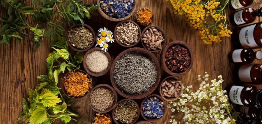 Natural Remedies That Work: Time-Tested Healing for Modern Life